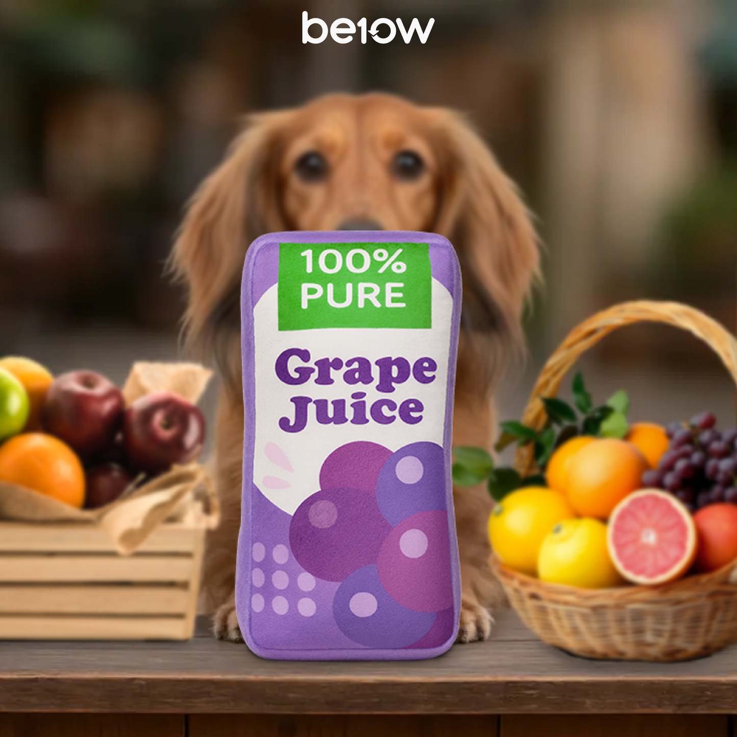BE10W Fruit Juice Box Sippy Plush Dog Toy