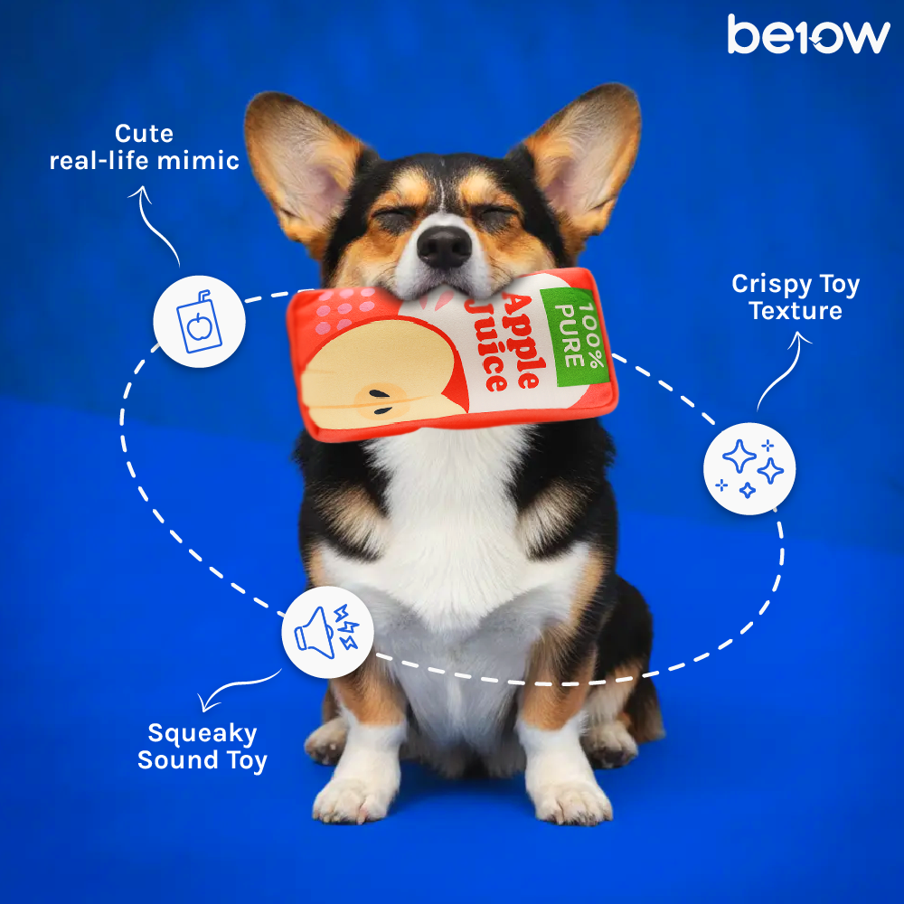 BE10W Fruit Juice Box Sippy Plush Dog Toy