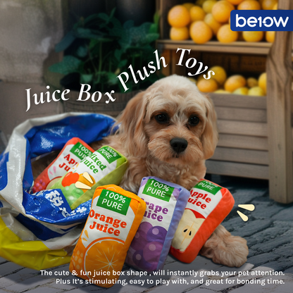 BE10W Fruit Juice Box Sippy Plush Dog Toy