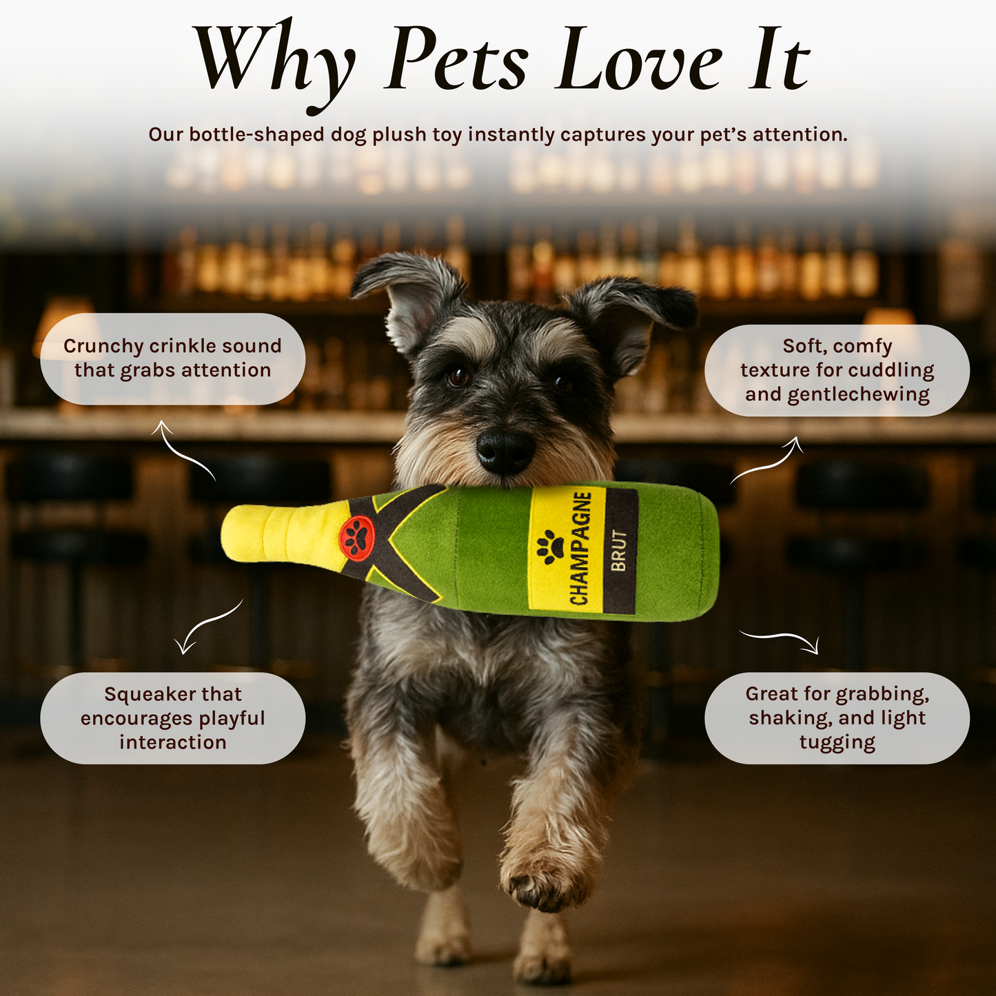 BE10W Dog Toy Bundle Pawty Bar Collection